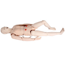 Multifunctional Nursing Skill Training Human Medical Simulator Model